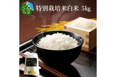 特別栽培米ぴかまる白米 5kg