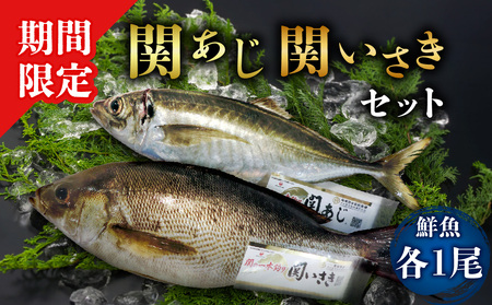 関あじ・関いさき(鮮魚)セット(各1尾)