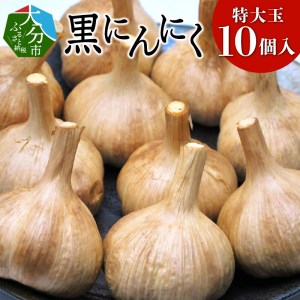 黒にんにく 特大玉 10個入 (九州大分産)