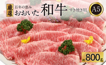 A01100　百年の恵み　おおいた和牛A5　すき焼用【厳選部位】約800ｇ