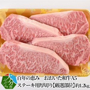 百年の恵み　おおいた和牛A5　ステーキ用厚切り【厳選部位】約1.2kg