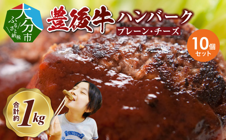 豊後牛ハンバーグ(プレーン・チーズ入り) 合計10個セット(合計約1kg)