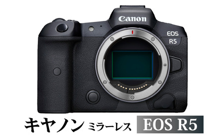R14141　キヤノンミラーレスカメラ　EOS R5