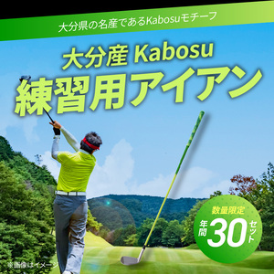 大分産 Kabosu スイング練習用アイアン						