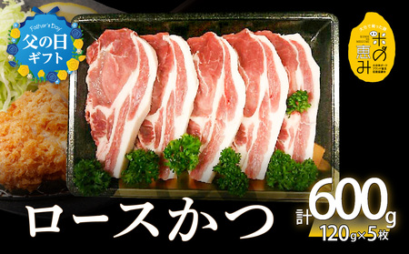 A02011-C [父の日ギフト]米の恵み ロースかつ 約120g×5枚 ≪6月15日お届け≫