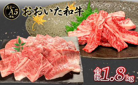 厳選A4〜A5等級 おおいた和牛 中落ちカルビ・肩ロース焼肉用セット 合計1.8kg