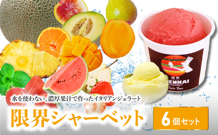 [敬老の日ギフト]限界シャーベット 6個セット[9月15日お届け]