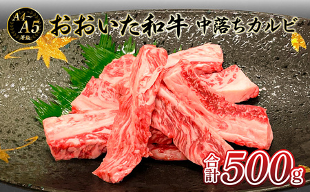 [敬老の日ギフト]厳選A4〜A5等級 おおいた和牛 中落ちカルビ 500g[9月15日お届け]