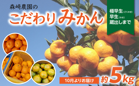 森﨑農園のこだわりみかん 約5kg