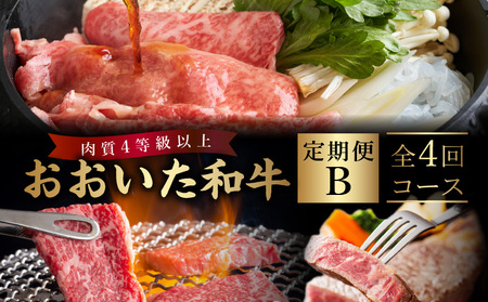 sցta B_B163-011y  a a Zbg ē Ă Xe[L   ̂  蕨 Ⓚ  4 ʕ{sz