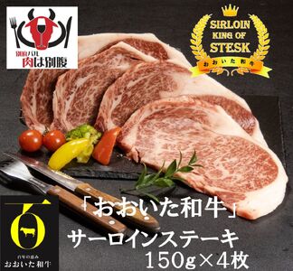 a(啪Yјa)T[CXe[L4_B172-004