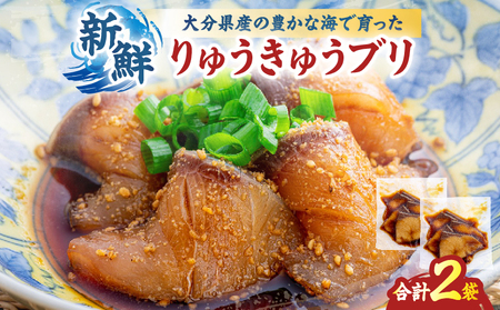 りゅうきゅうセット(ブリ)