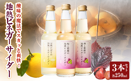 �n�M�r�l�K�[�T�C�_�[�Z�b�g(3�{)_B009-015