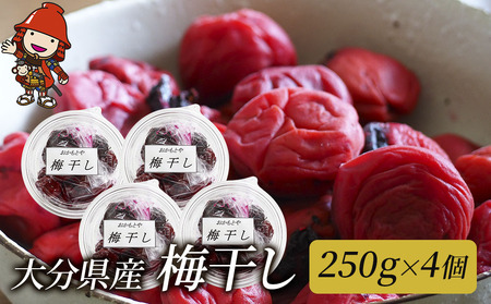 梅干し 250g 4個 昔ながらの手作り梅干 しそ漬け 紫蘇梅 うめぼし 梅 ご飯のお供 おかず 大分県産 九州産 中津市