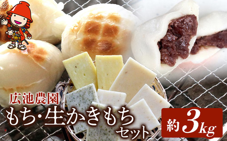 [期間・数量限定]広池農園もち・生かきもちセット 約3kg ( 冷凍小もち500g×2 冷凍あんもち6ヶ入×2 生かきもち×3パック ) 