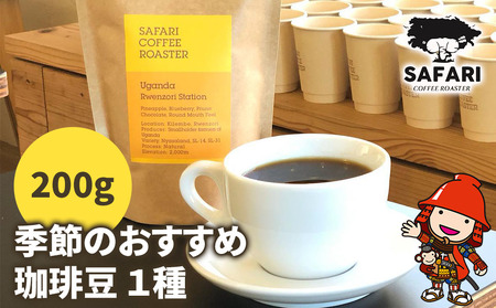季節のおすすめ 珈琲豆 1種 (200g) | 珈琲 コーヒー 自家焙煎 コーヒー豆 季節 季節のコーヒー おうちカフェ 豆 大分県産 国産 大分県 中津市 