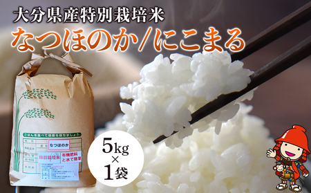 令和7年産 特別栽培米 なつほのか にこまる 5kg×1袋 | 大分県中津市三光産 栽培期間中 農薬不使用 精米 玄米 選べる 国産 お米 米 ご飯 白米 農家直送 宗像農園 大分県産 九州産 大分県 中津市