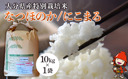 令和7年産 特別栽培米 なつほのか にこまる 10kg×1袋 | 大分県中津市三光産 栽培期間中 農薬不使用 精米 玄米 選べる 国産 お米 米 ご飯 白米 農家直送 宗像農園 大分県産 九州産 大分県 中津市