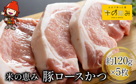 「米の恵み」 豚ロースかつ 約120g×5枚 | お肉 肉 おにく にく 豚 豚肉 ロース ブランド豚 ロースかつ とんかつ トンカツ 惣菜 おかず 冷凍 国産 大分県産 九州産 大分県 中津市