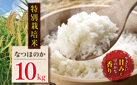 ʍ͔| Ȃق̂ 10kg |        ͂ Y 10L 啪Y BY 啪 Îs