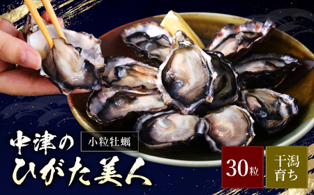 [期間限定]ひがた美人 (牡蠣 30粒) 堪能セット | 養殖 冷蔵 かき オイスター 酒の肴 つまみ おかず 大分県産 九州産 国産 大分県 中津市