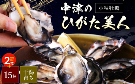 [期間限定]中津ひがた美人 (牡蠣 15粒 + 2粒) 養殖 | 冷蔵 かき オイスター 酒の肴 つまみ おかず 大分県産 九州産 国産 大分県 中津市