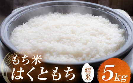 耶馬渓産もち米 5kg | お米 米 精米 おこめ こめ もち米 はくともち 餅 お餅 国産米 5キロ 大分県産 九州産 大分県 中津市