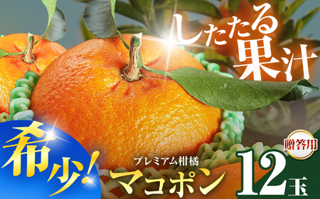 �g�����X�^�[ �}�R�|���� �����p 12�� | �t���[�c �ʕ� �������� �ʎ� ���k ���k�� �܂��ۂ� �}�R�|�� �I�����W �[���[�I�����W �s�m�� ���Y ���Îs�Y �Y�n���� �啪�� ���Îs