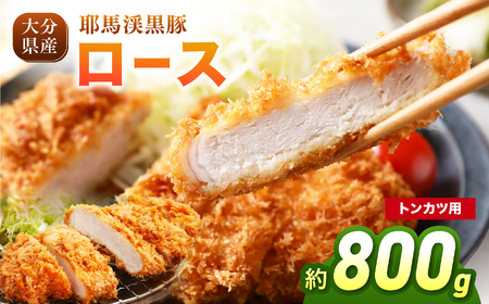 耶馬渓黒豚 ロース トンカツ用 800g(100g×2枚入り×4パック)| トンカツ とんかつ 選べる内容量 送料無料 大分県 中津市