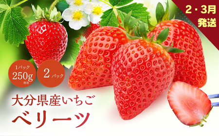 �x���[�c 250g�O�� × 2�p�b�N ( 2���ȍ~���� ) | ������ �x���[ �t���[�c �ʕ� �啪�� ���Îs