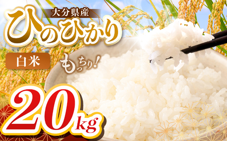 �y�ߘa7�N�Y�z�啪���Y �q�m�q�J�� ���� 20kg ( 5kg × 4�� ) | ���� ���� �P��� �啪�� ���Îs