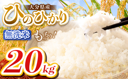 �y�ߘa7�N�Y�z�啪���Y ������ 20kg ( 5kg × 4�� ) | ���� ���� �P��� �啪�� ���Îs