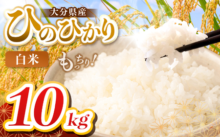 �y�ߘa7�N�Y�z�啪���Y �q�m�q�J�� ���� 10kg ( 5kg × 2�� ) | ���� ���� �P��� �啪�� ���Îs