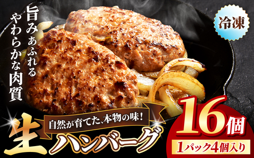 冷凍 ハンバーグ 生16個入り ( 4パック ) | お肉 肉 豚肉 白豚 お惣菜 惣菜 おかず 簡単調理 国産 九州産 大分県産 大分県 中津市
