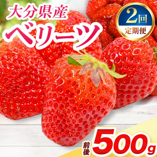 [定期便2回]ベリーツ × 2パック ( 約500g ) ( 1パック/250g前後 ) | いちご ベリー フルーツ 果物 産地直送 大分県 中津市