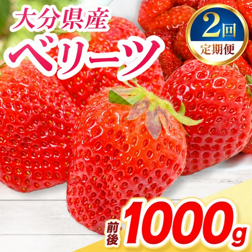 [定期便2回]ベリーツ × 4パック ( 約1000g ) ( 1パック/250g前後 ) | いちご ベリー フルーツ 果物 産地直送 大分県 中津市