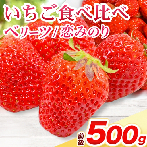 ベリーツ ・ 恋みのり 食べ比べセット 各250g ( 約500g ) | いちご ベリー フルーツ 果物 産地直送 大分県 中津市