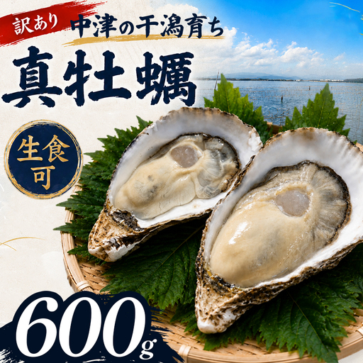 [訳あり]殻付き真牡蠣 600g | かき 真牡蠣 生食用 殻付き 海鮮 魚介 海のミルク おつまみ おかず 訳あり 家庭用 大分県 中津市