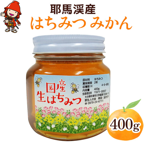 中津・耶馬渓のはちみつ みかん 400g × 1瓶 | 国産 蜂蜜 はちみつ ハチミツ みかん 蜜柑 ミカン 瓶 大分県産 九州産 大分県 中津市
