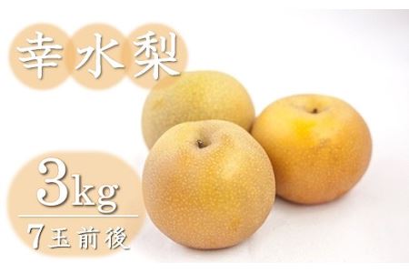 西江豊水園の幸水梨 約3kg ( 7個前後 ) | フルーツ 果物 くだもの 果実 数量限定 旬 完熟梨 梨 なし ナシ 幸水 幸水梨 和梨 3kg 3キロ 新鮮 産地直送 大分県産 九州産 国産 大分県 中津市