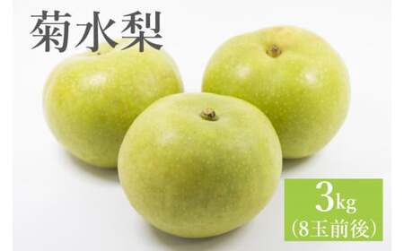 西江豊水園の菊水梨 約3kg ( 8個前後 ) | フルーツ 果物 くだもの 果実 数量限定 旬 完熟梨 梨 なし ナシ 菊水 菊水梨 和梨 3kg 3キロ 新鮮 産地直送 大分県産 九州産 国産 大分県 中津市