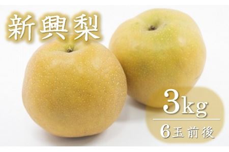 西江豊水園の新興梨 約3kg ( 6個前後 ) | フルーツ 果物 くだもの 果実 数量限定 旬 完熟梨 梨 なし ナシ 新興 新興梨 和梨 3kg 3キロ 新鮮 産地直送 大分県産 九州産 国産 大分県 中津市