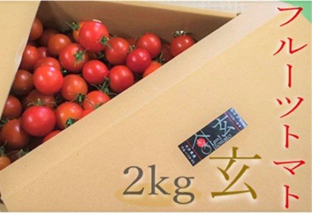【期間限定】【期間限定】フルーツトマト 玄 2kg×1箱 ミニトマト ぷちとまと プチトマト 大分県中津産 九州野菜