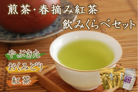 [先行予約][数量限定]蛍茶園煎茶・春摘み紅茶飲み比べセット190g