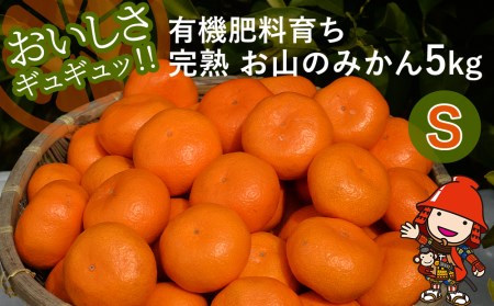 ys\zyʌzv۔_̗L@엿炿n  R݂̂ 5kg(S)+3 (ݕ⏞) | t[c ʕ   ~J ݂ k k B݂ Yn Y 啪