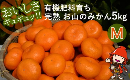 ys\zyʌzv۔_̗L@엿炿n  R݂̂ 5kg(M)+3 (ݕ⏞) | t[c ʕ   ~J ݂ k k B݂ Yn Y 啪