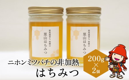 ニホンミツバチの非加熱 はちみつ 200g×2個 百花蜜 蜂蜜 ハチミツ 大分 ...