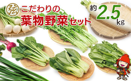 数量限定】弦本農園のこだわりの葉物野菜セット 総重量 約2.5kg ねぎ