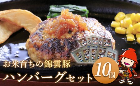 錦雲豚ハンバーグ 10個セット (100g×10個) | 惣菜 おかず 弁当 豚肉 国産 九州産 大分県産 ブランド豚 豚 錦雲豚 冷凍 小分け 送料無料