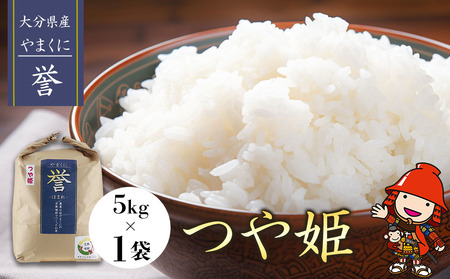 [寄附使途限定]九州米・食味コンクール最優秀賞受賞 大分県中津市産 やまくに誉 つや姫 5kg×1袋 | お米 米 おこめ こめ 精米 白米 5キロ ご飯 九州産 国産 国産米 大分県米 九州米 大分県 中津市